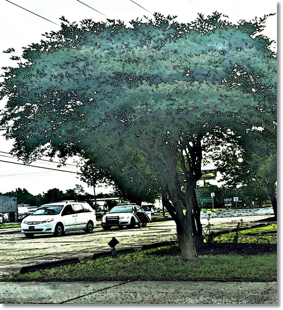 accountability is a deal&nbsp;braker