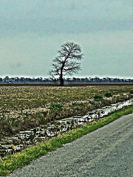 (br)oak(en) for righteousness