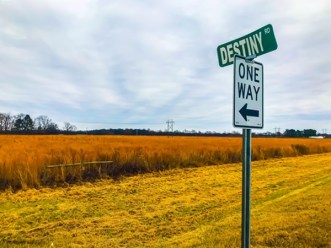 destiny6 WP straighten edit